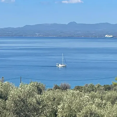 Dream Zen At Mantineia *